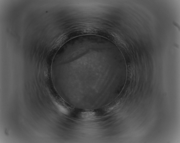 X0000091850266200709191102