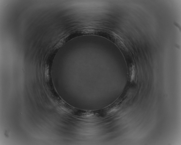 X0000091850267200709191102