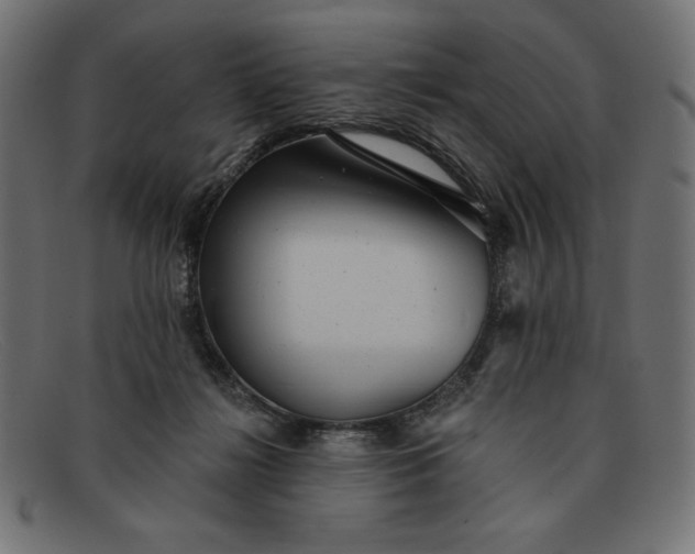X0000091850268200709191102
