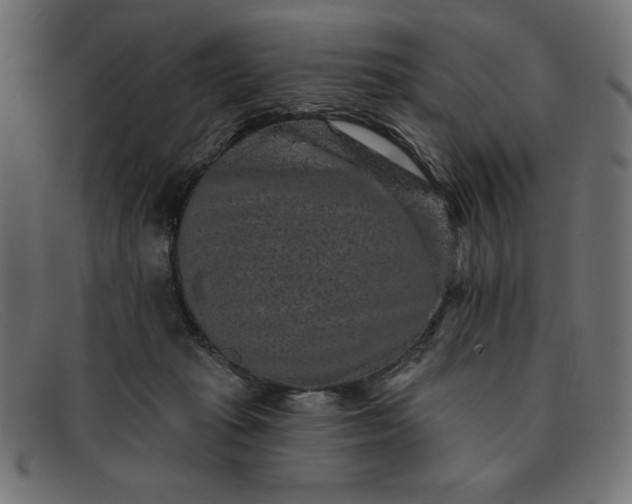 X0000091850269200709191102