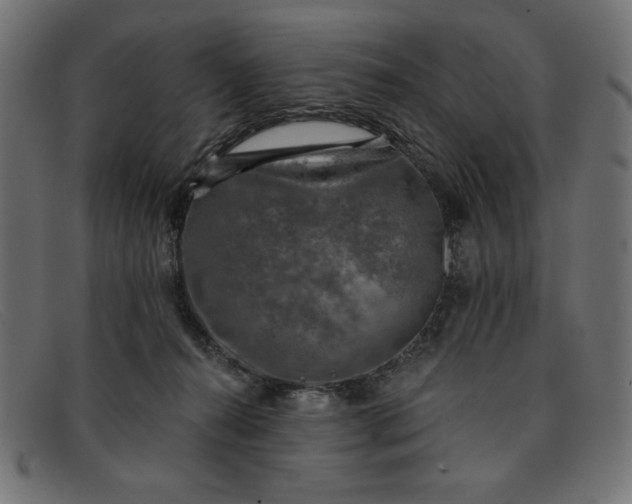 X0000091850272200709191102
