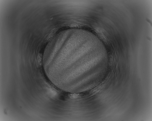 X0000091850273200709191102