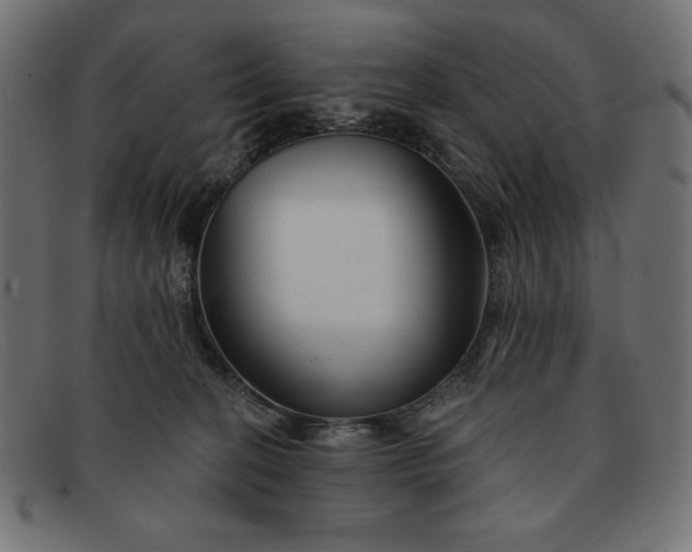 X0000091850274200709191102