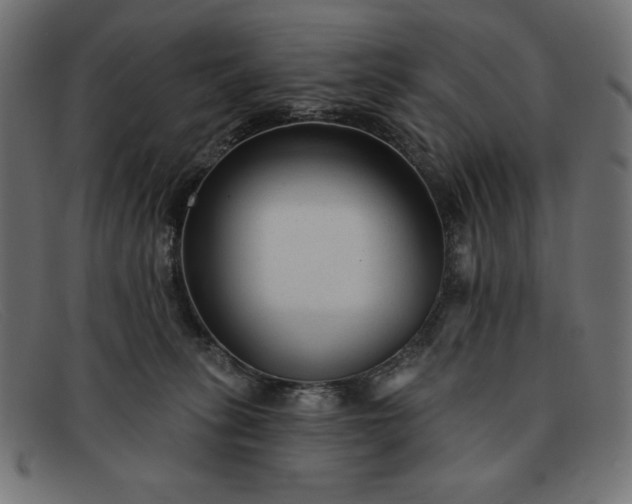 X0000091850275200709191102