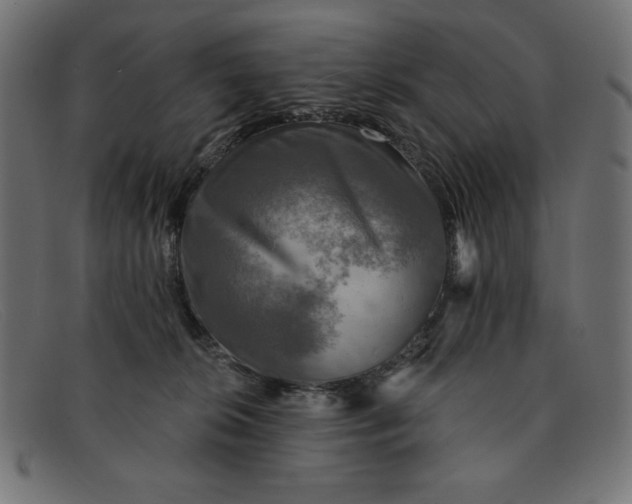 X0000091850276200709191102