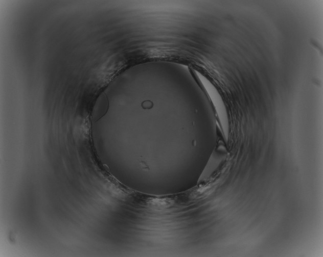 X0000091850277200709191102