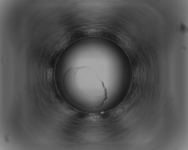 X0000091850278200709191102