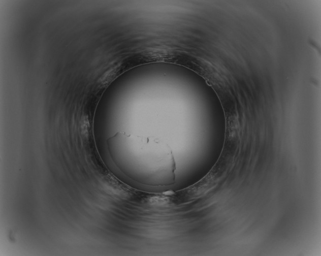 X0000091850279200709191102