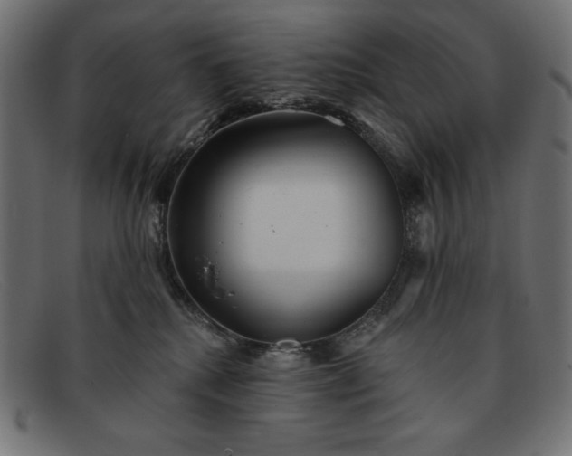 X0000091850280200709191102