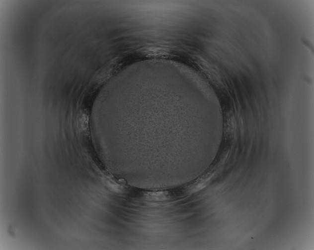X0000091850281200709191102