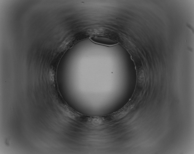 X0000091850282200709191102