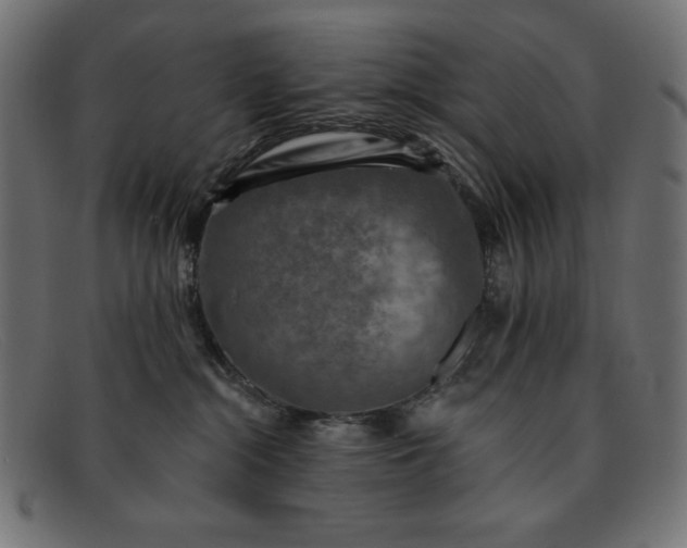 X0000091850284200709191102