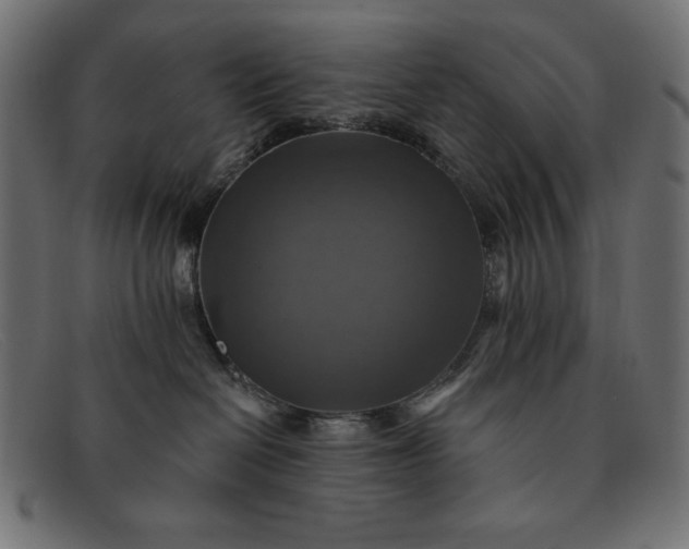X0000091850286200709191102