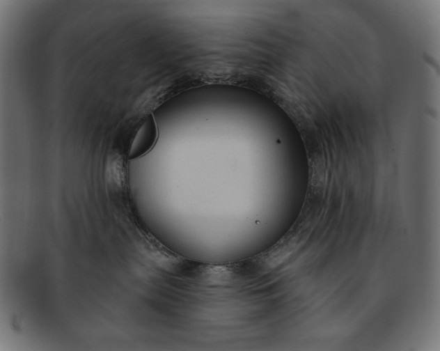 X0000091850287200709191102