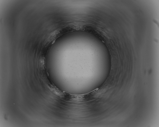X0000091850288200709191103