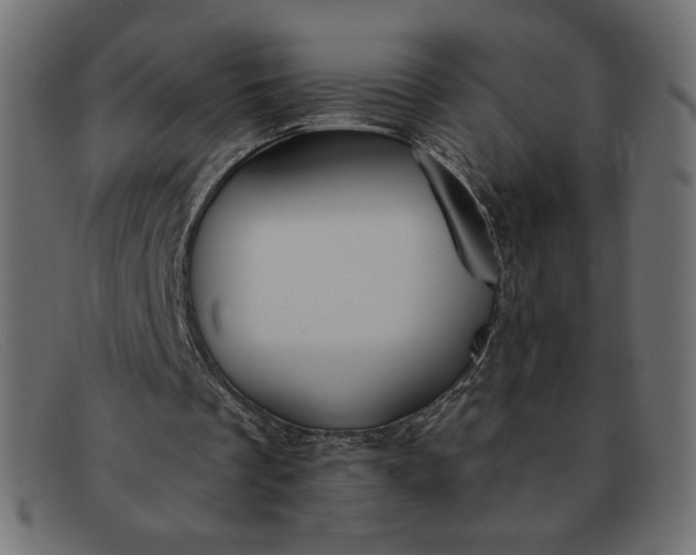 X0000091850289200709191102