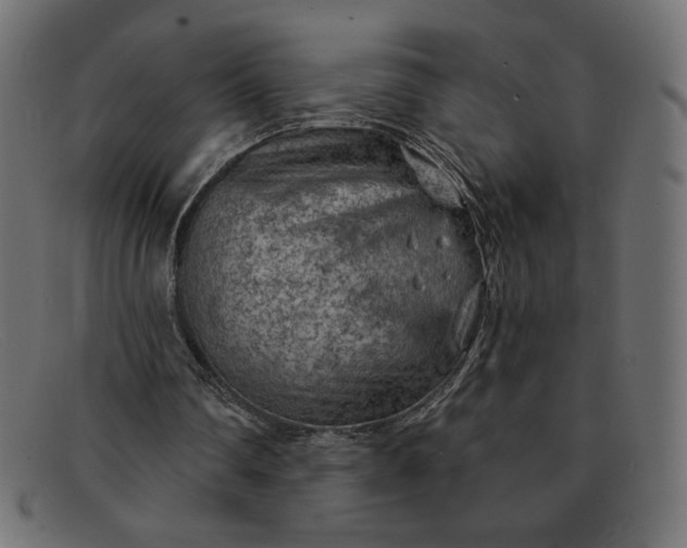 X0000091850290200709191102