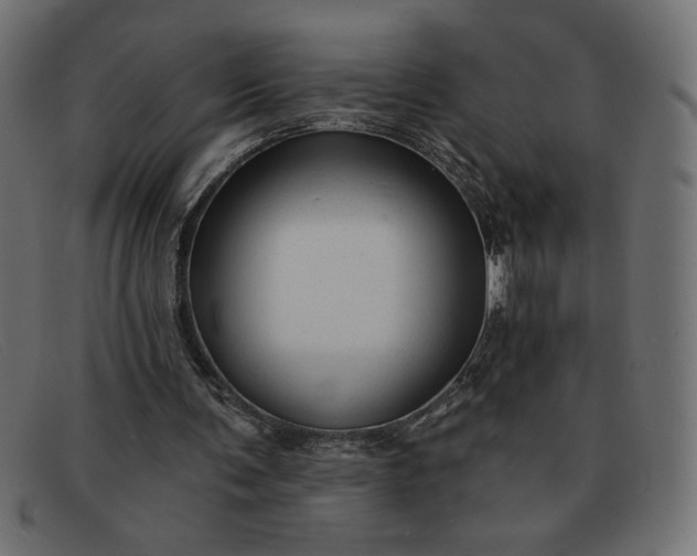 X0000091850291200709191102