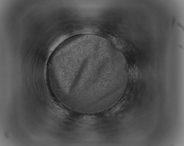 X0000091850292200709191102