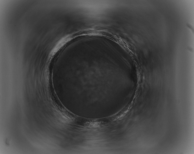 X0000091850295200709191102