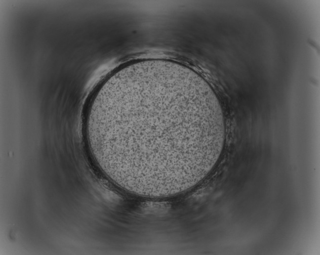 X0000091850296200709191102