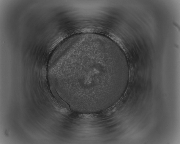 X0000091850297200709191102