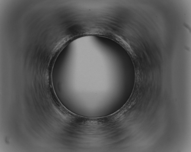 X0000091850298200709191102
