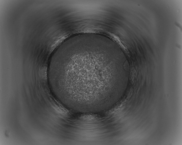 X0000091850299200709191102