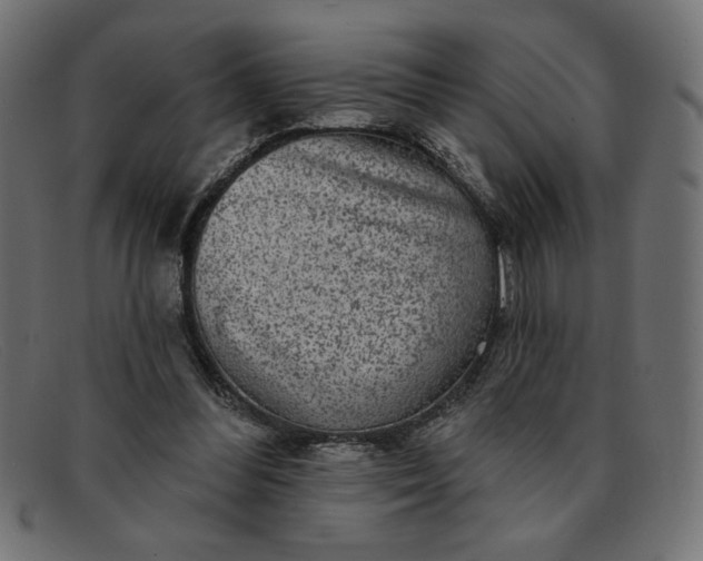 X0000091850300200709191102