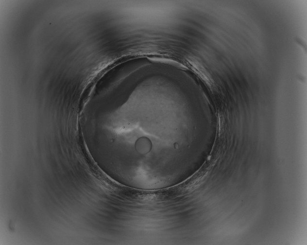 X0000091850301200709191102