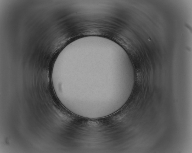 X0000091850302200709191102