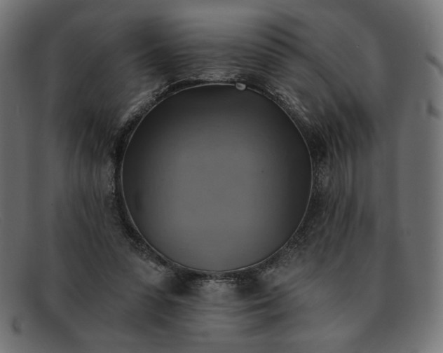 X0000091850303200709191102