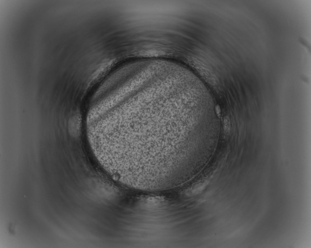 X0000091850304200709191102