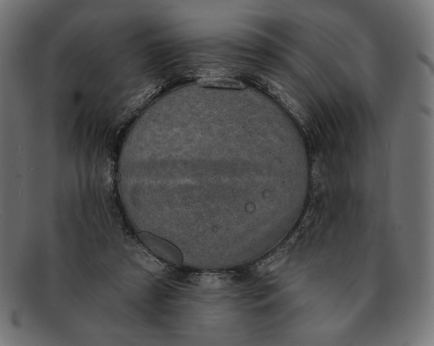 X0000091850305200709191102