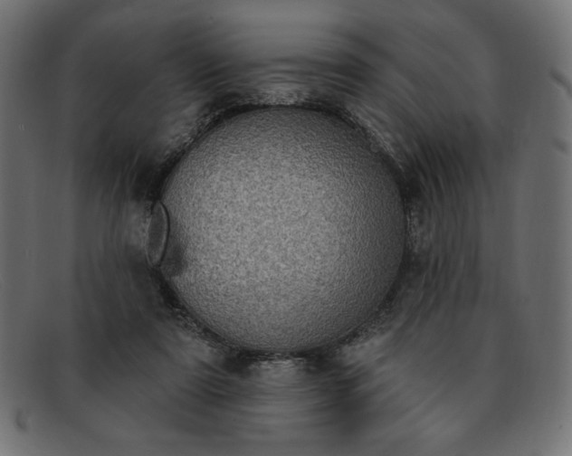 X0000091850307200709191102