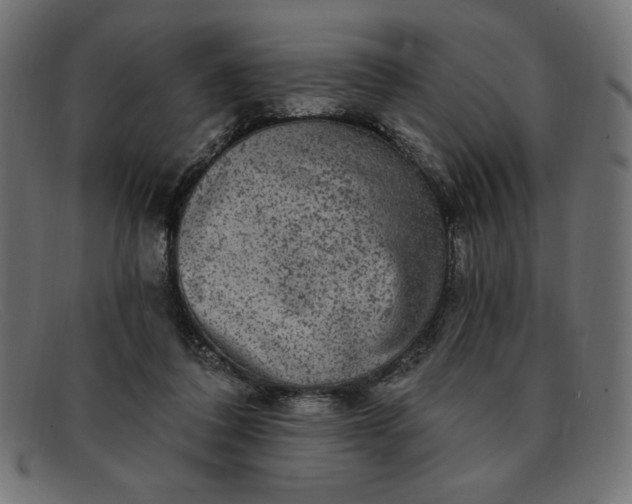 X0000091850308200709191102