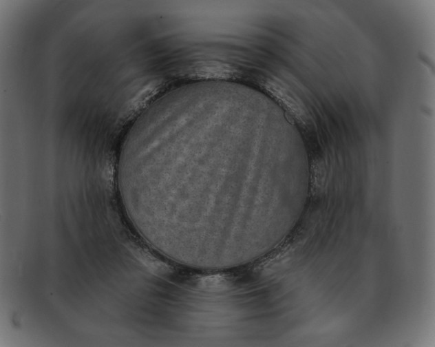 X0000091850309200709191102