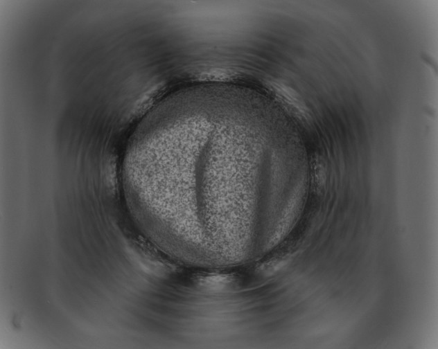 X0000091850312200709191102