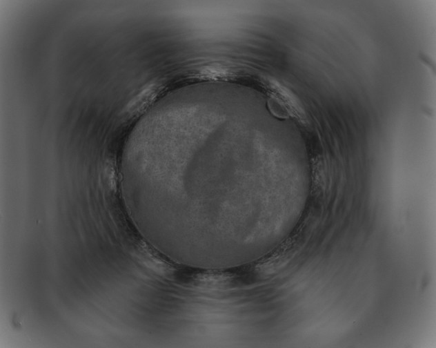 X0000091850313200709191102