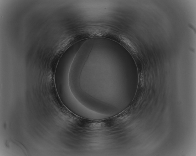 X0000091850314200709191102