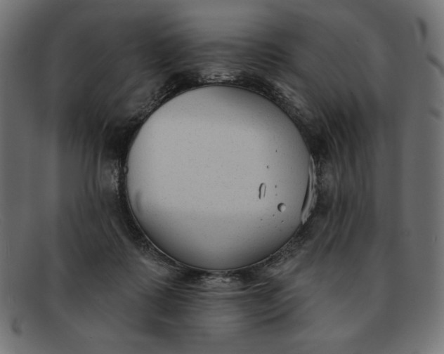 X0000091850315200709191102
