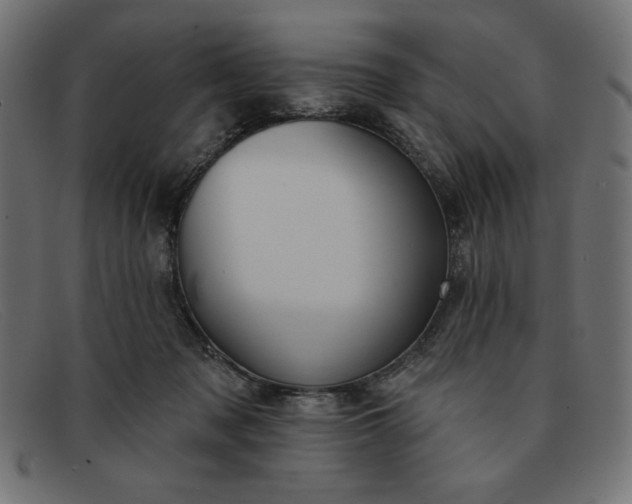 X0000091850317200709191102