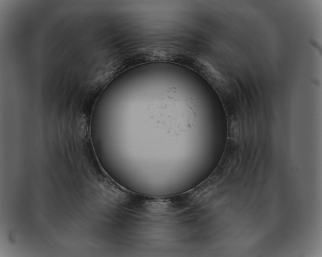X0000091850318200709191102
