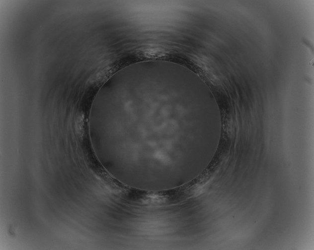 X0000091850319200709191102