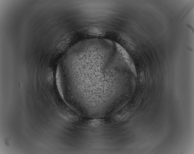 X0000091850320200709191102