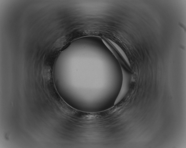 X0000091850323200709191102