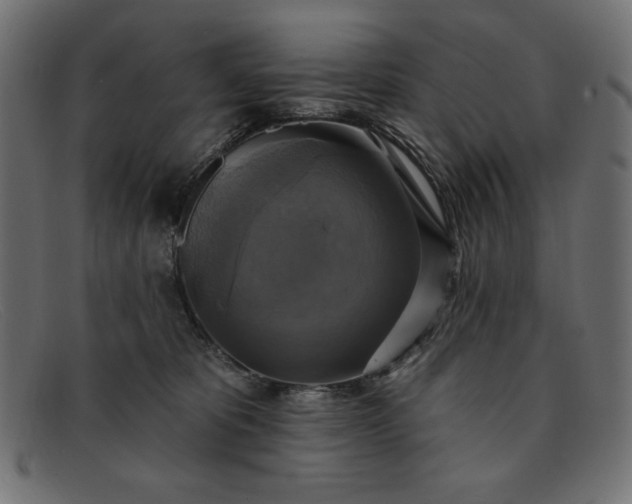X0000091850325200709191102