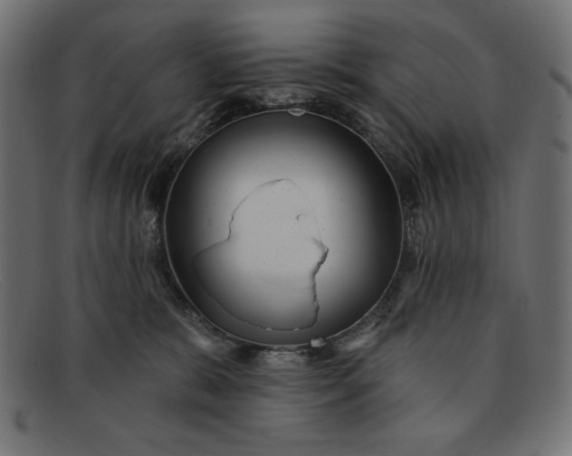 X0000091850327200709191101