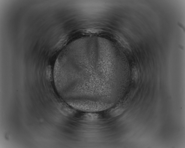 X0000091850328200709191101