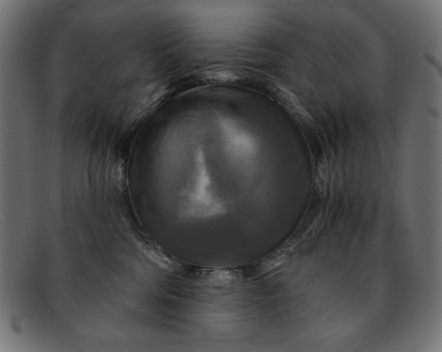 X0000091850330200709191101